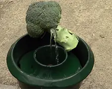 Lid' LoL Flex - Groente en Fruit