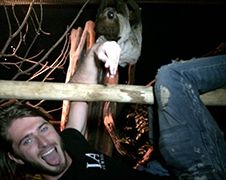 LOL! Gast doet aan #slothing in Luiaardenverblijf Dierenpark Emmen