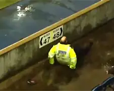 LOL! Politieagent wil te hulp schieten maar gaat keihard op z’n bek