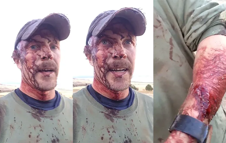 Man aangevallen door beer, maar maakt eerst video voor Facebook