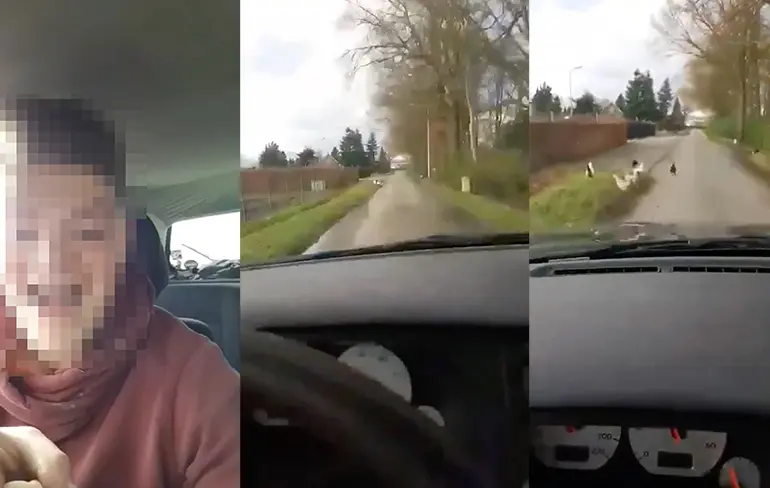 Man die op kippen inreed aangehouden voor dierenmishandeling