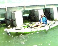 Man in kayak haalt hele grote Itajara binnen