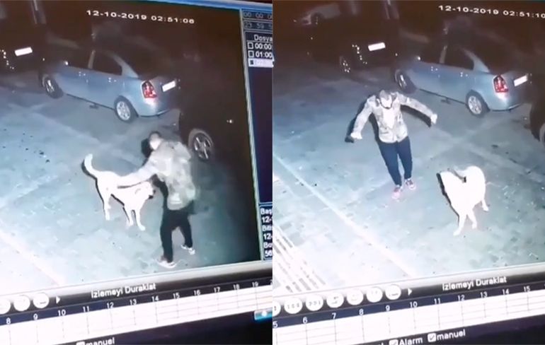 Man is katjelam en danst gezellig op straat met een hond