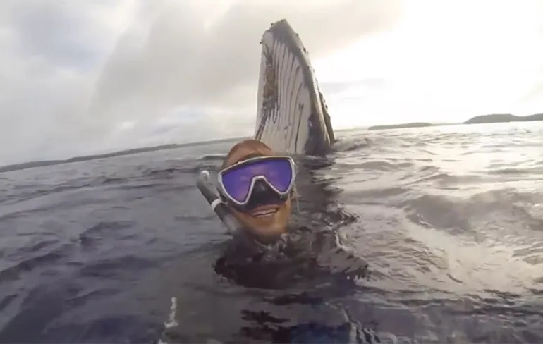 Man maakt selfie van dichtbij met een walvis