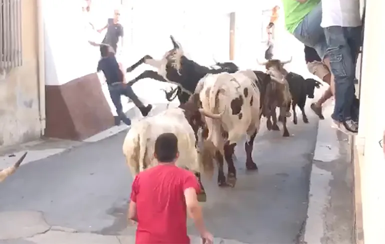 Man op heerlijke manier keihard door stier tegen muur getrapt