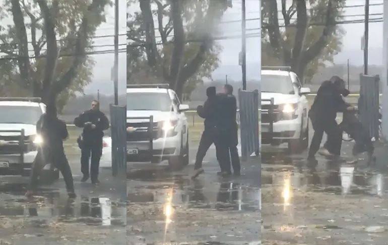 Man slaat agent, agent heeft er geen zin in en zet viervoeter in