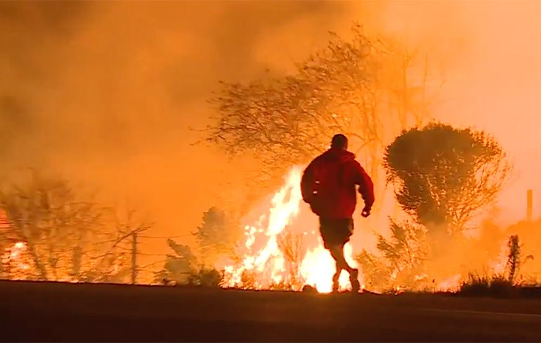 Man waagt zijn leven om konijntje uit natuurbrand Californië te redden