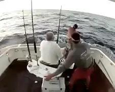 Marlijn aan boord, man overboord...