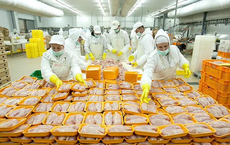Medewerkers kippenfabrieken moeten luiers aan op de werkvloer