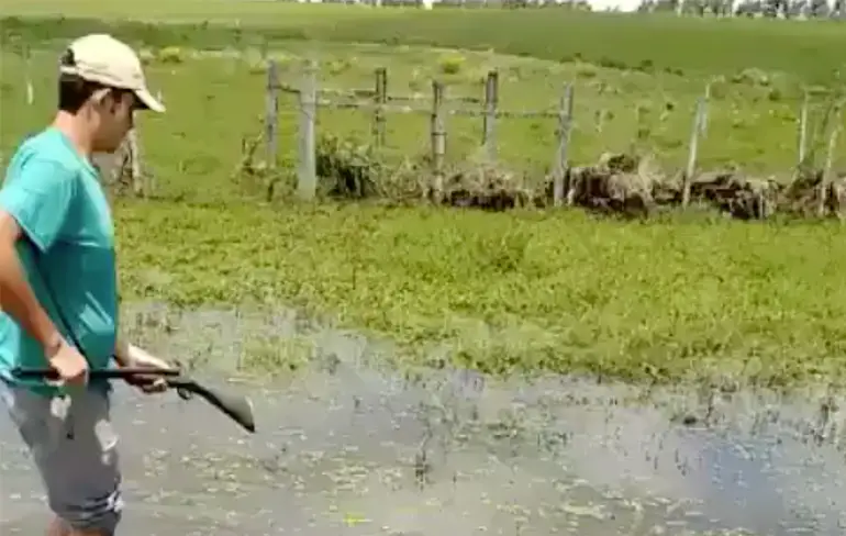 Meest domme jager van Brazilië heeft pijn in zijn edele delen