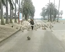 Mevrouw is konijnenfluisteraar?