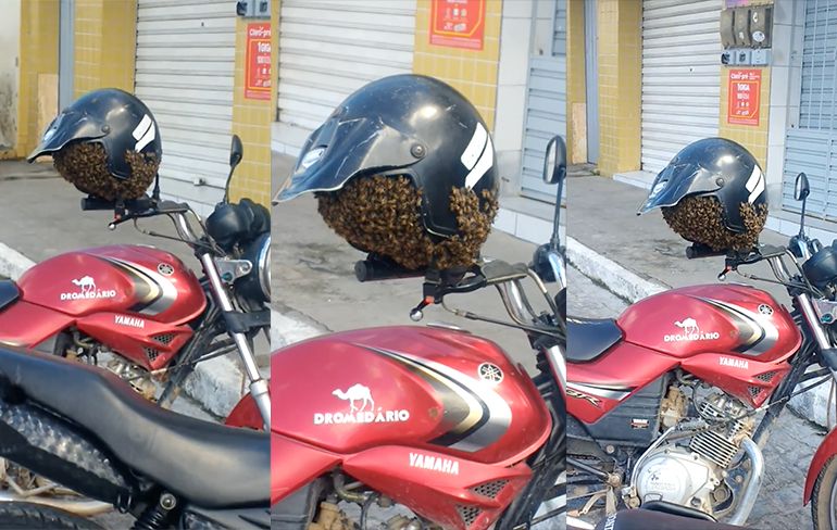 Motorrijder in Brazilie kan beter nieuwe helm kopen...