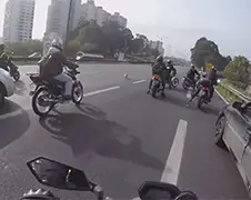 Motorrijders redden hond van snelweg