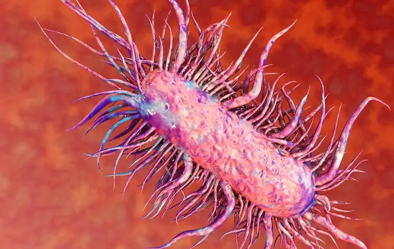 Mysterieuze bacterie heeft deel gezicht van vrouw opgegeten