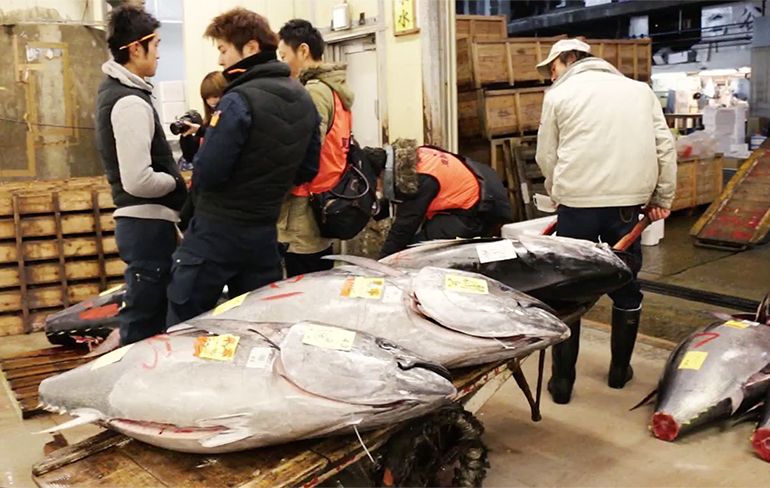 Na kijkje op Tokio’s Tsukiji vismarkt heb je trek in Sushi!