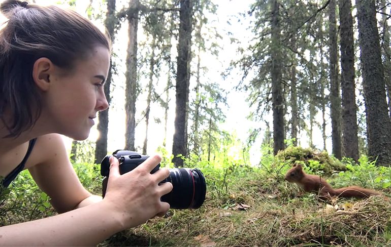 Natuur fotograaf in Zweden wordt vrienden met familie eekhoorns