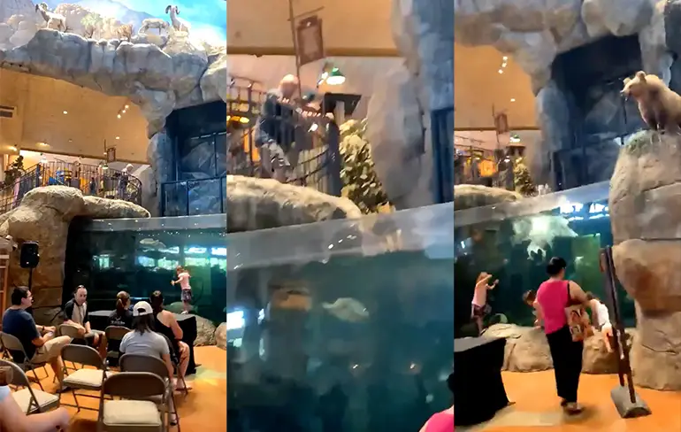Natuurlijk kun je een duik nemen in een aquarium in winkel