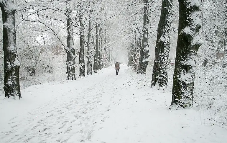 Nederland verdwijnt onder een dikke laag sneeuw: Live meekijken met deze webcams