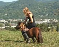 Nederlandse video van pony mishandeling opgedoken