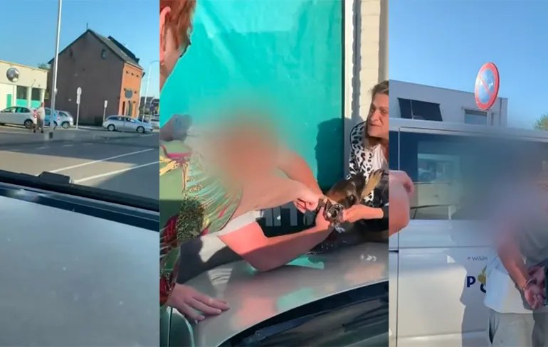 Netjes: Bezorgde burgers in Kerkrade pakken dierenbeul zelf aan