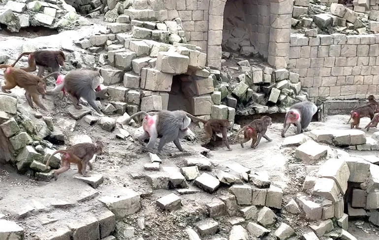 Niet doen: Zonder te spugen in het verkeerde gat