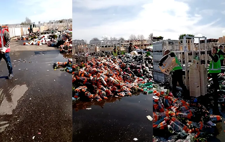 Niet geveilde bloemen de prullenbak in door coronavirus