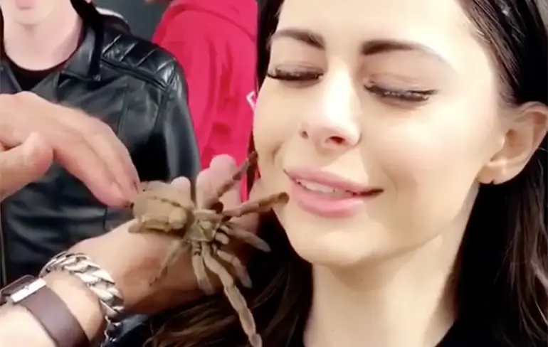 Nope: Azzy laat een spinnetje over haar gezicht lopen