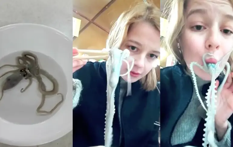 NOPE: Meisje werkt hele levende inktvis naar binnen!