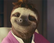 Oeps, Slothing in luiaardenverblijf Dierenpark Emmen was stunt