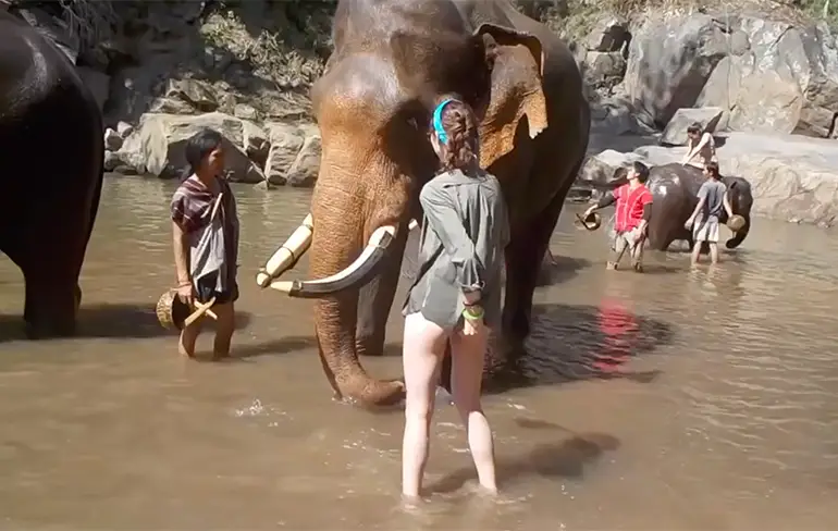 Olifant in Thailand heeft er geen zin in en geeft vliegles cadeau!