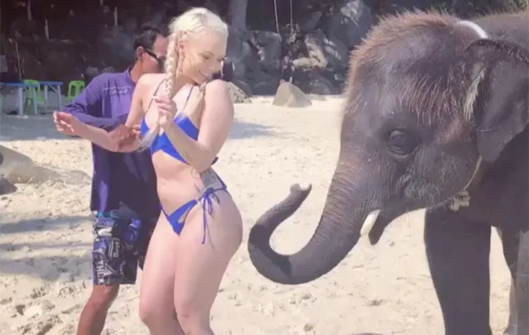 Olifant in Thailand ziet dame met billen ook wel zitten