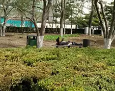 Ondertussen op een bankje in een park in Beijing...