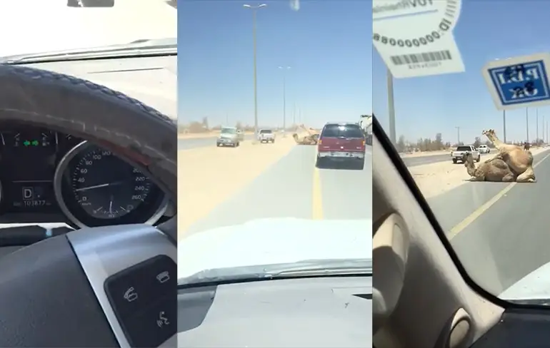 Ondertussen op een snelweg in de grote zandbak...