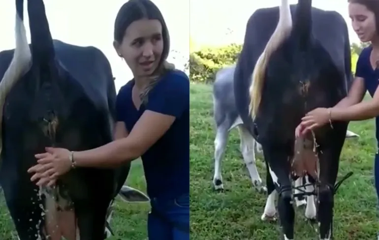 Op een hele natuurlijke manier je handen wassen