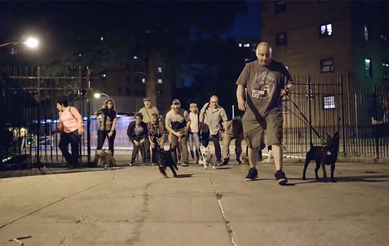 Op pad met mensen en hun honden die 's nachts in New York op ratten jagen