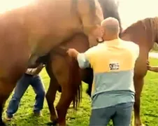 Opeens heb je het: Je wordt boer!