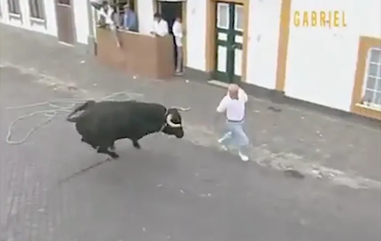 Ozzy Man doet commentaar op mensen die stieren pesten