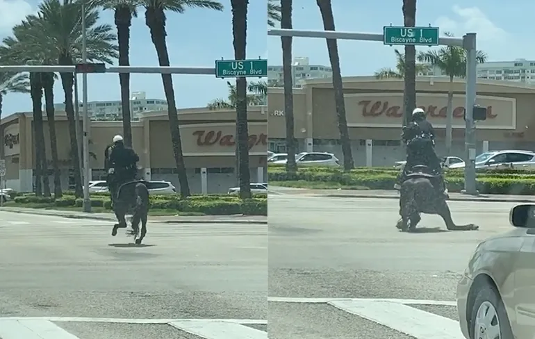 Paard heeft geen seconde langer zin om oom agent te vervoeren