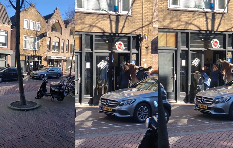 Paard in Alkmaar neemt kijkje in een coffeeshop