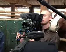 Paard pest cameraman...