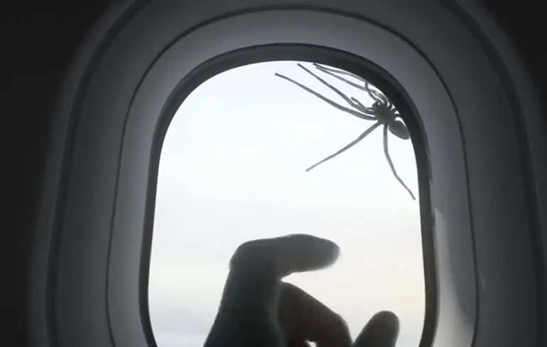 Pak een vlammenwerper: Spin op een vliegtuig