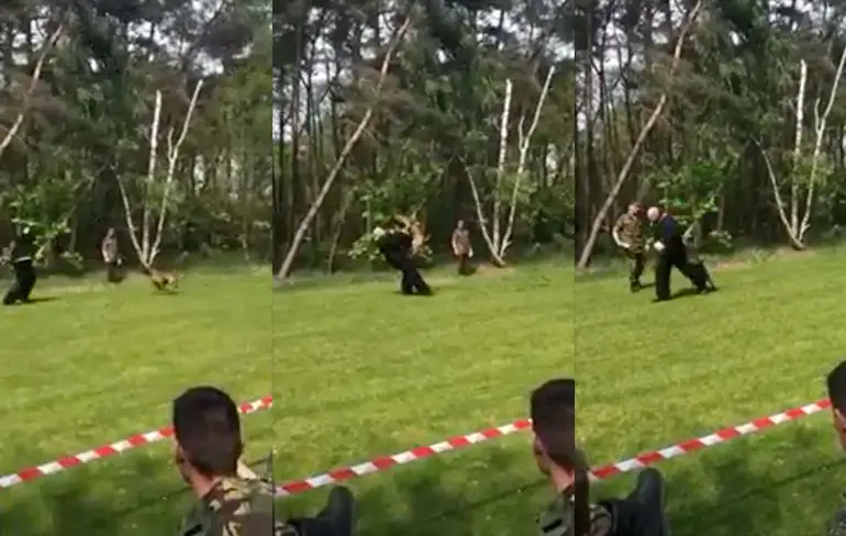 Pakwerker breekt kaak tijdens examen politiehond
