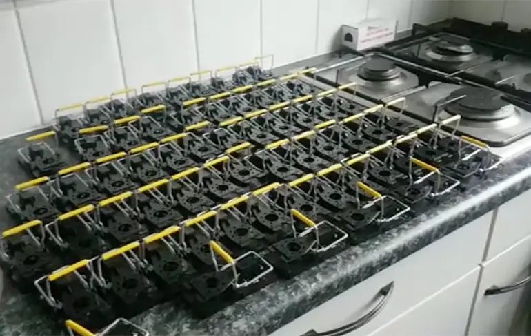 Pasgetrouwd stelletje getrakteerd op trap vol gespannen muizenvallen
