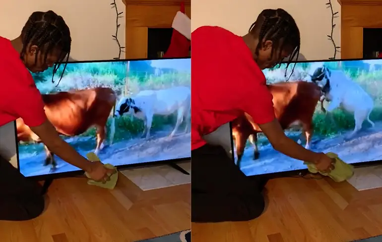 Perfect getimed je televisie schoonmaken en viraal gaan doe je zo