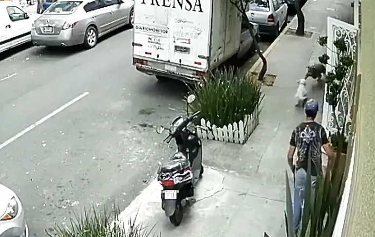 Pitbull loopt los in Mexico Stad en grijpt hond, eigenaar hond grijpt in