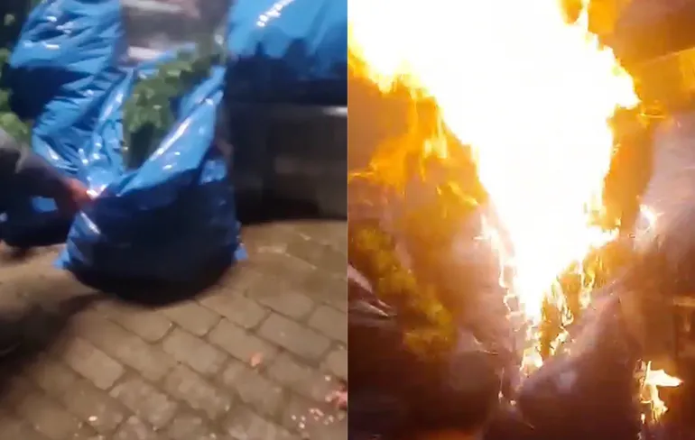 Plaswijckpark in de fik, op Snapchat beelden van brandstichting