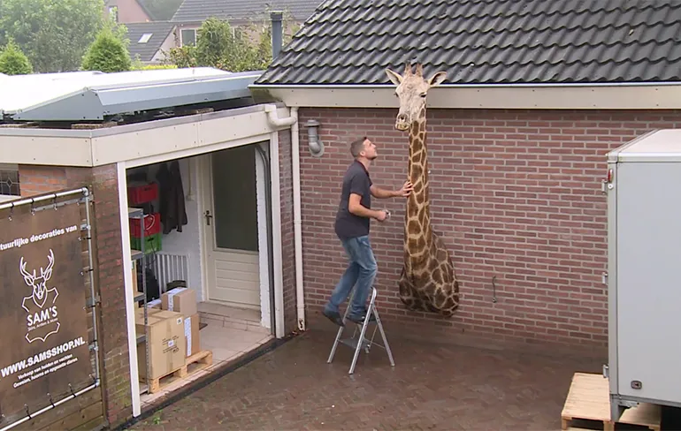 Psssst, een giraffekop kopen inclusief drie meter lange nek?