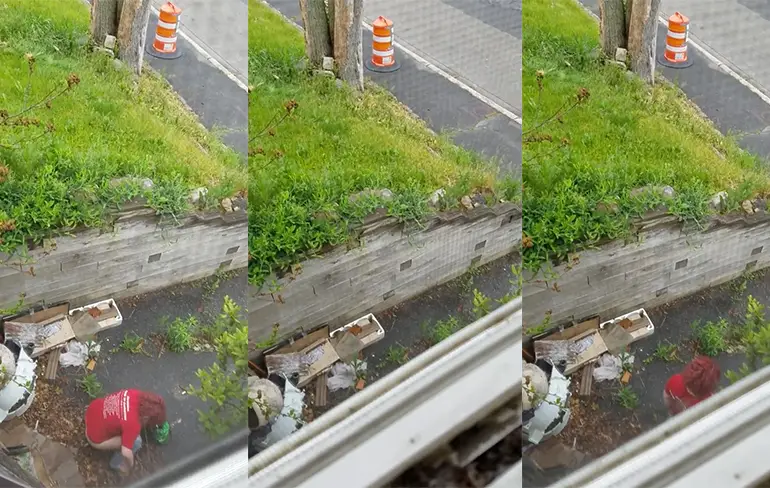 Ranzig wijf uit Worcester gaat even schijten op oprit