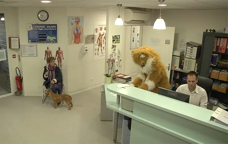 Remi Gaillard draait de rollen om in Animal Planet
