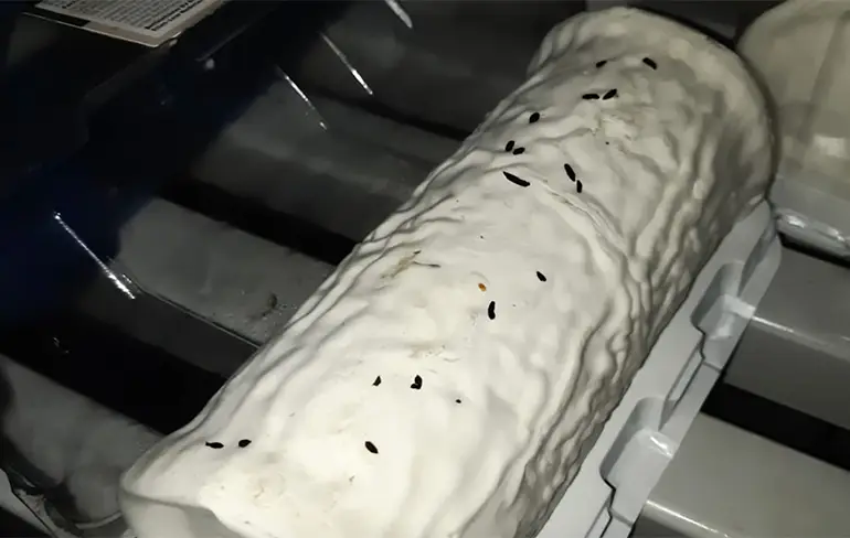 Restaurant waar maden uit sate kronkelden is bezig met schoonmaken